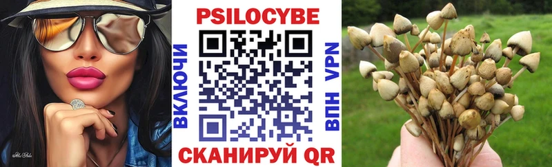 Галлюциногенные грибы Magic Shrooms  как найти закладки  Верхотурье 